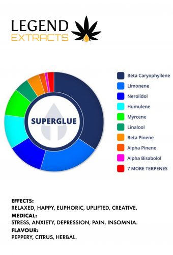 Superglue Distillate Graph