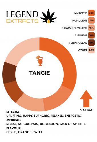 Tangie Distillate Graph